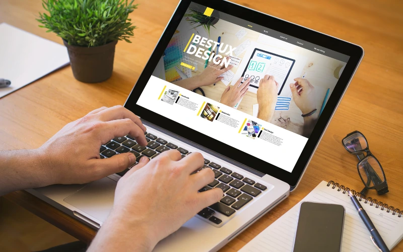 Why a Professional Website for a Pest Control Business Is Essential to Win Local Customers