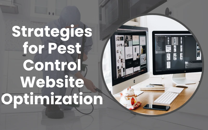 Top Strategies for Pest Control Website Optimization